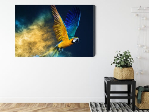 Obraz na płótnie Zwierzęta Latająca papuga Premium Canvas - obrazek 8