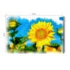 Obraz na płótnie Natura Słonecznik Premium Canvas