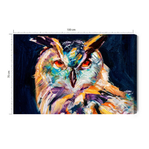 Obraz na płótnie Zwierzęta Sowa kolorowa Premium Canvas