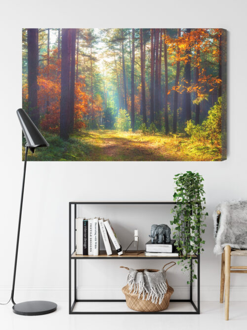 Obraz na płótnie Natura Leśna ścieżka jesienią Premium Canvas - obrazek 9