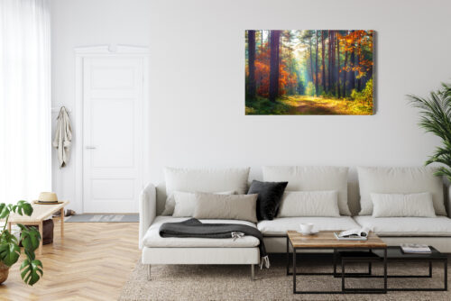 Obraz na płótnie Natura Leśna ścieżka jesienią Premium Canvas - obrazek 6
