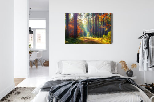 Obraz na płótnie Natura Leśna ścieżka jesienią Premium Canvas - obrazek 7