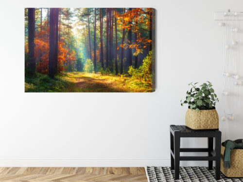 Obraz na płótnie Natura Leśna ścieżka jesienią Premium Canvas - obrazek 8