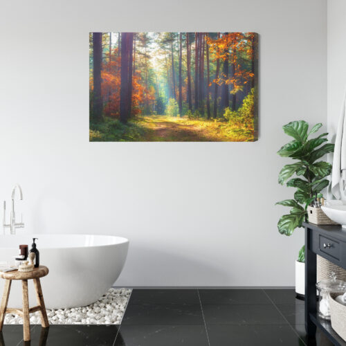 Obraz na płótnie Natura Leśna ścieżka jesienią Premium Canvas - obrazek 5
