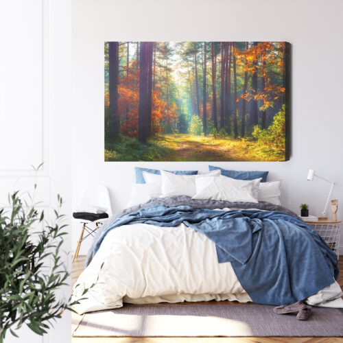Obraz na płótnie Natura Leśna ścieżka jesienią Premium Canvas - obrazek 3