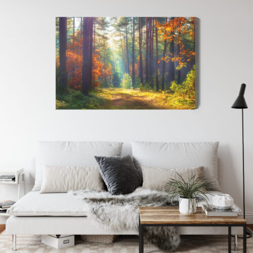 Obraz na płótnie Natura Leśna ścieżka jesienią Premium Canvas - obrazek 4