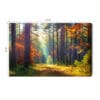Obraz na płótnie Natura Leśna ścieżka jesienią Premium Canvas