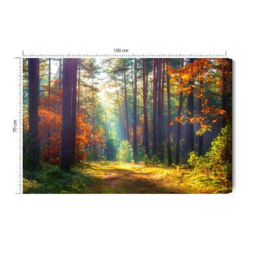 Obraz na płótnie Natura Leśna ścieżka jesienią Premium Canvas