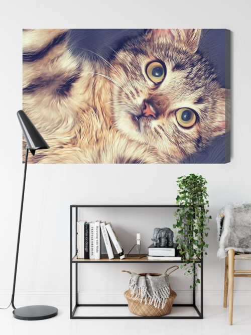Obraz na płótnie Zwierzęta Leżący kot Premium Canvas - obrazek 9
