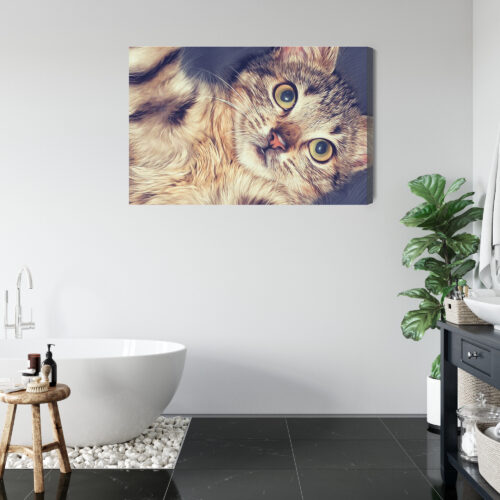 Obraz na płótnie Zwierzęta Leżący kot Premium Canvas - obrazek 5