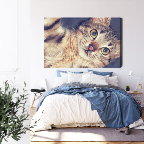 Obraz na płótnie Zwierzęta Leżący kot Premium Canvas - obrazek 3