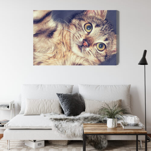 Obraz na płótnie Zwierzęta Leżący kot Premium Canvas - obrazek 4