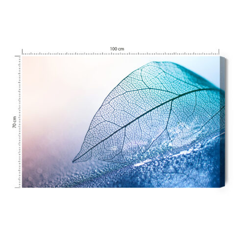Obraz na płótnie Natura Prześwitujący liść Premium Canvas