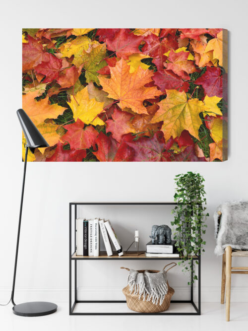 Obraz na płótnie Natura Liście klonu Premium Canvas - obrazek 9