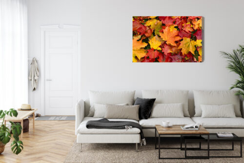 Obraz na płótnie Natura Liście klonu Premium Canvas - obrazek 6