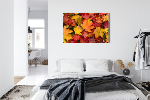 Obraz na płótnie Natura Liście klonu Premium Canvas - obrazek 7