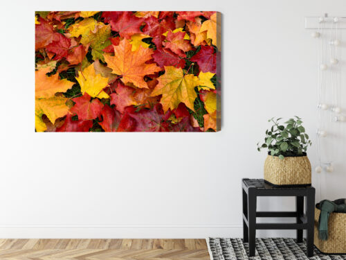 Obraz na płótnie Natura Liście klonu Premium Canvas - obrazek 8