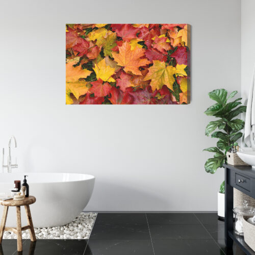 Obraz na płótnie Natura Liście klonu Premium Canvas - obrazek 5