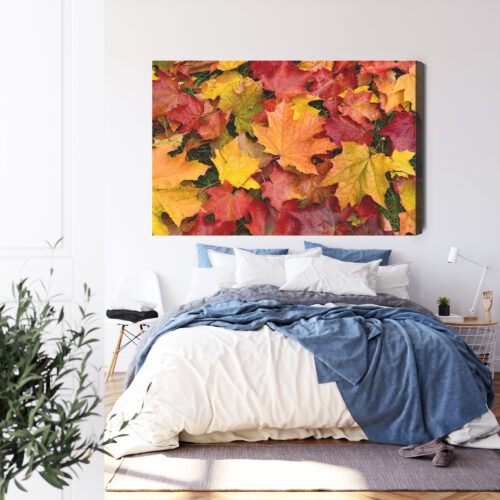 Obraz na płótnie Natura Liście klonu Premium Canvas - obrazek 3