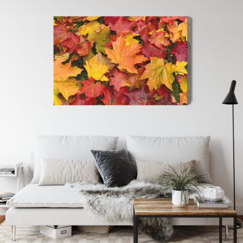 Obraz na płótnie Natura Liście klonu Premium Canvas - obrazek 4