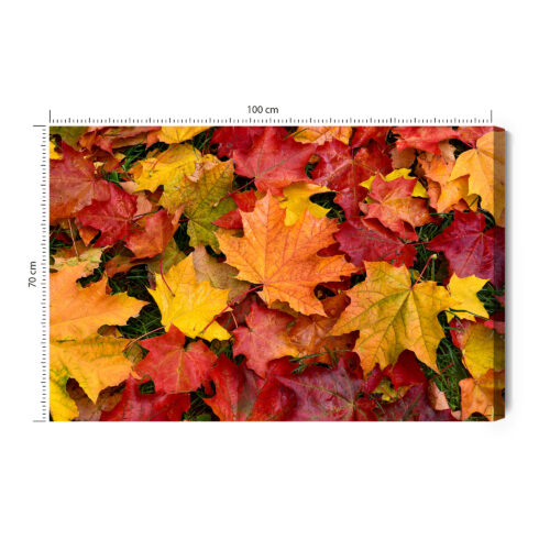 Obraz na płótnie Natura Liście klonu Premium Canvas