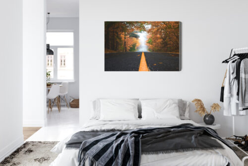 Obraz na płótnie Natura Droga przez jesienny las Premium Canvas - obrazek 7