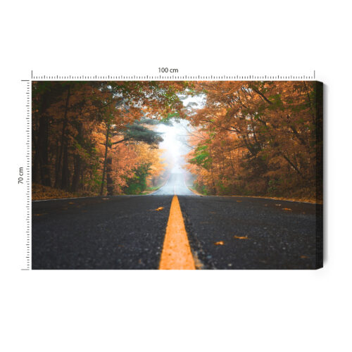 Obraz na płótnie Natura Droga przez jesienny las Premium Canvas