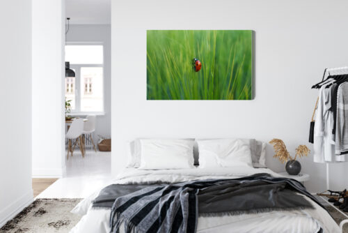 Obraz na płótnie Biedronka w trawie przyrodniczy Natura z bliska Premium Canvas - obrazek 7