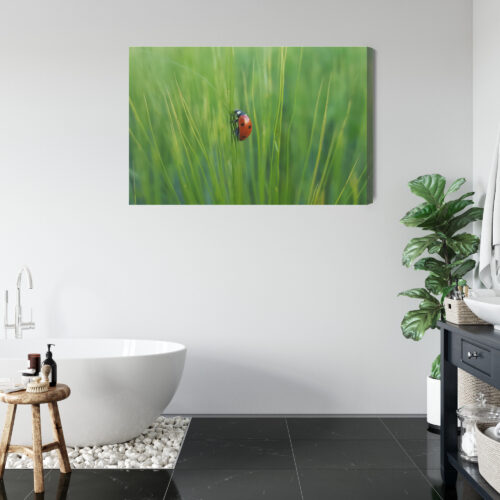 Obraz na płótnie Biedronka w trawie przyrodniczy Natura z bliska Premium Canvas - obrazek 5