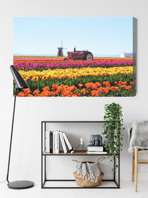 Obraz na płótnie Natura Traktor w polu tulipanów Premium Canvas - obrazek 9
