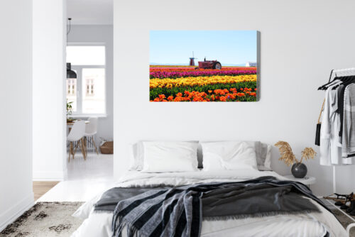 Obraz na płótnie Natura Traktor w polu tulipanów Premium Canvas - obrazek 7