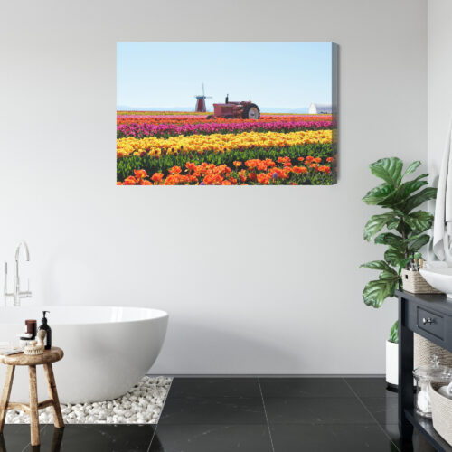 Obraz na płótnie Natura Traktor w polu tulipanów Premium Canvas - obrazek 5