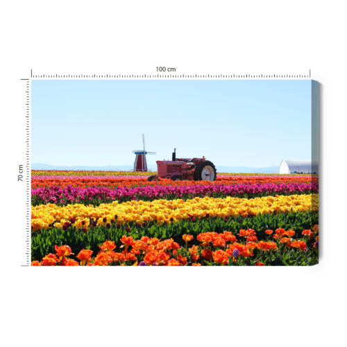 Obraz na płótnie Natura Traktor w polu tulipanów Premium Canvas