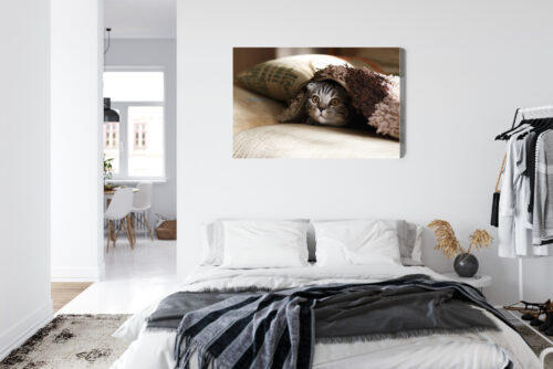 Obraz na płótnie Zwierzęta Kot pod kocem Premium Canvas - obrazek 7