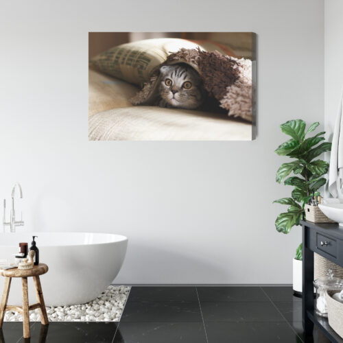 Obraz na płótnie Zwierzęta Kot pod kocem Premium Canvas - obrazek 5