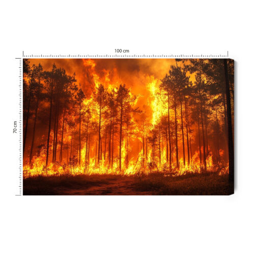 Obraz na płótnie Natura Pożar lasu w płomieniach Premium Canvas