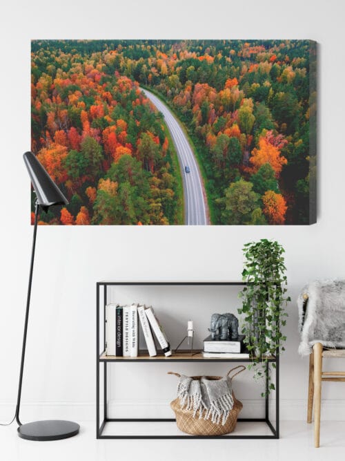 Obraz na płótnie Natura Jesienna droga w lesie Premium Canvas - obrazek 9