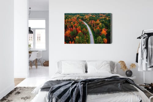 Obraz na płótnie Natura Jesienna droga w lesie Premium Canvas - obrazek 7