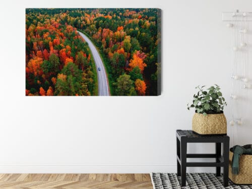Obraz na płótnie Natura Jesienna droga w lesie Premium Canvas - obrazek 8