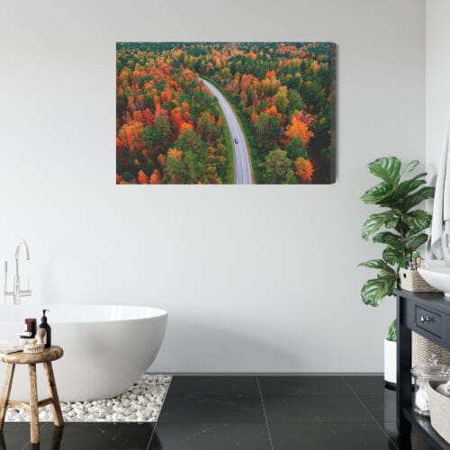 Obraz na płótnie Natura Jesienna droga w lesie Premium Canvas - obrazek 5