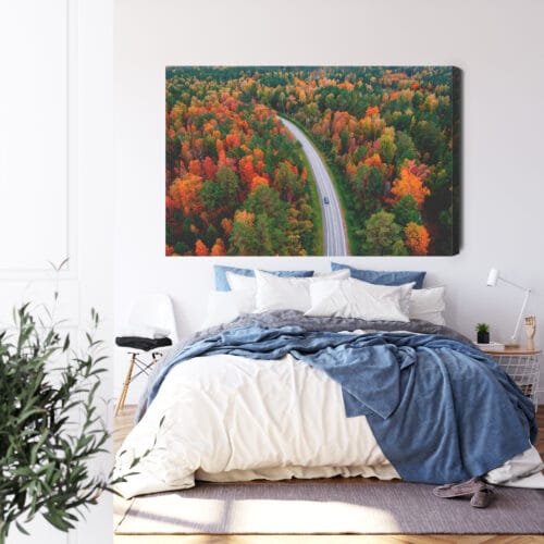 Obraz na płótnie Natura Jesienna droga w lesie Premium Canvas - obrazek 3
