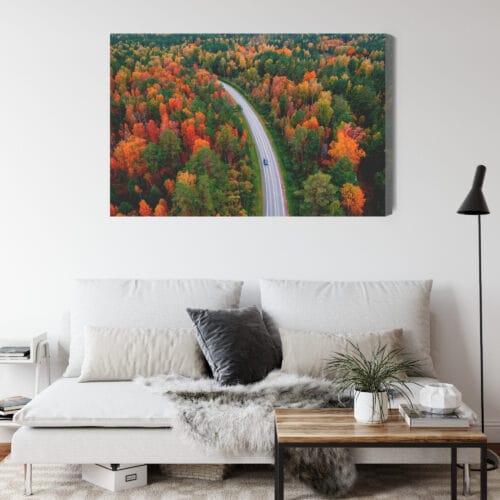 Obraz na płótnie Natura Jesienna droga w lesie Premium Canvas - obrazek 4