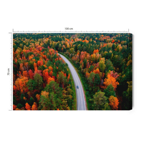Obraz na płótnie Natura Jesienna droga w lesie Premium Canvas