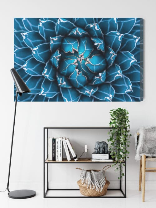 Obraz na płótnie Natura Symetryczna agawa z góry Premium Canvas - obrazek 9