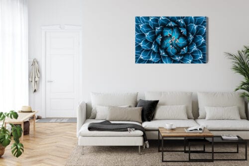 Obraz na płótnie Natura Symetryczna agawa z góry Premium Canvas - obrazek 6