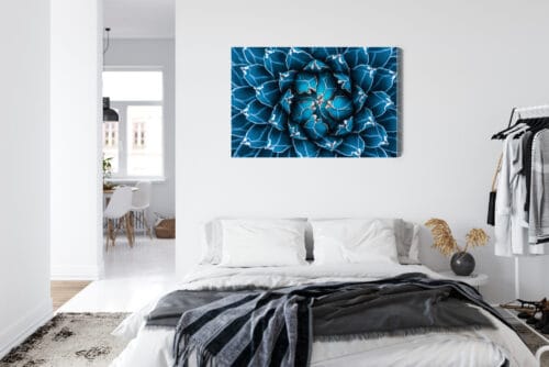 Obraz na płótnie Natura Symetryczna agawa z góry Premium Canvas - obrazek 7