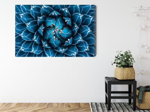 Obraz na płótnie Natura Symetryczna agawa z góry Premium Canvas - obrazek 8