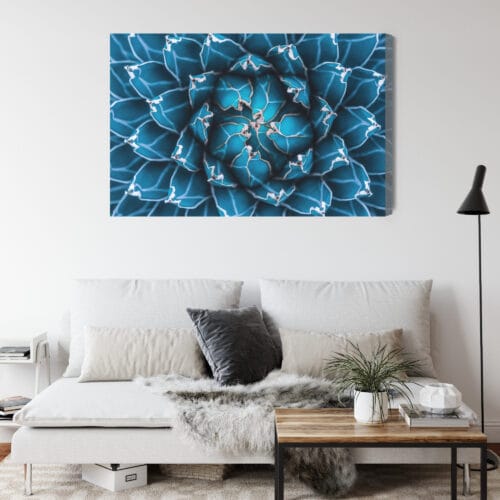 Obraz na płótnie Natura Symetryczna agawa z góry Premium Canvas - obrazek 4