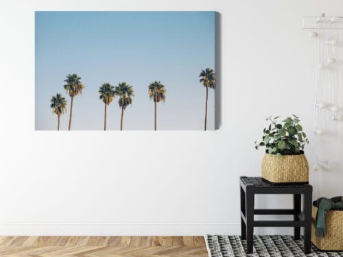 Obraz na płótnie Palmy Minimalizm sylwetki drzew Premium Canvas - obrazek 8