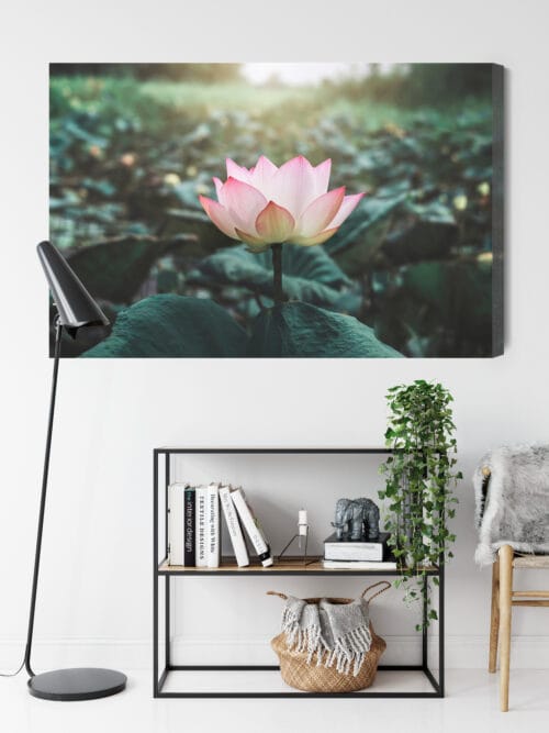 Obraz na płótnie Natura Kwiat lotosu Premium Canvas - obrazek 9